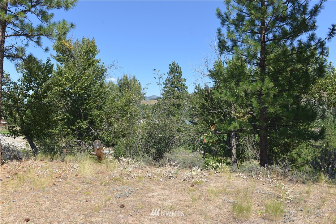 20 Riffle Loop Winthrop, WA 98862 - Photo 22 of 22 Gallery Image 22