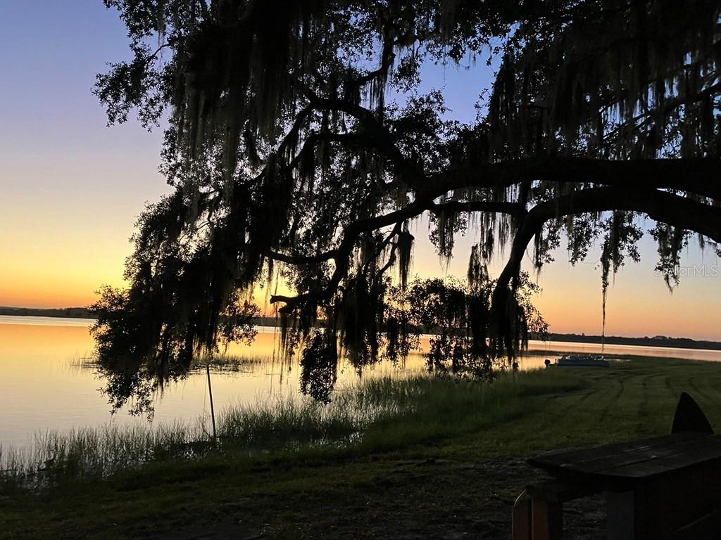 25079 Northeast 140th Loop Salt Springs, FL 32134 - Photo 21 of 23