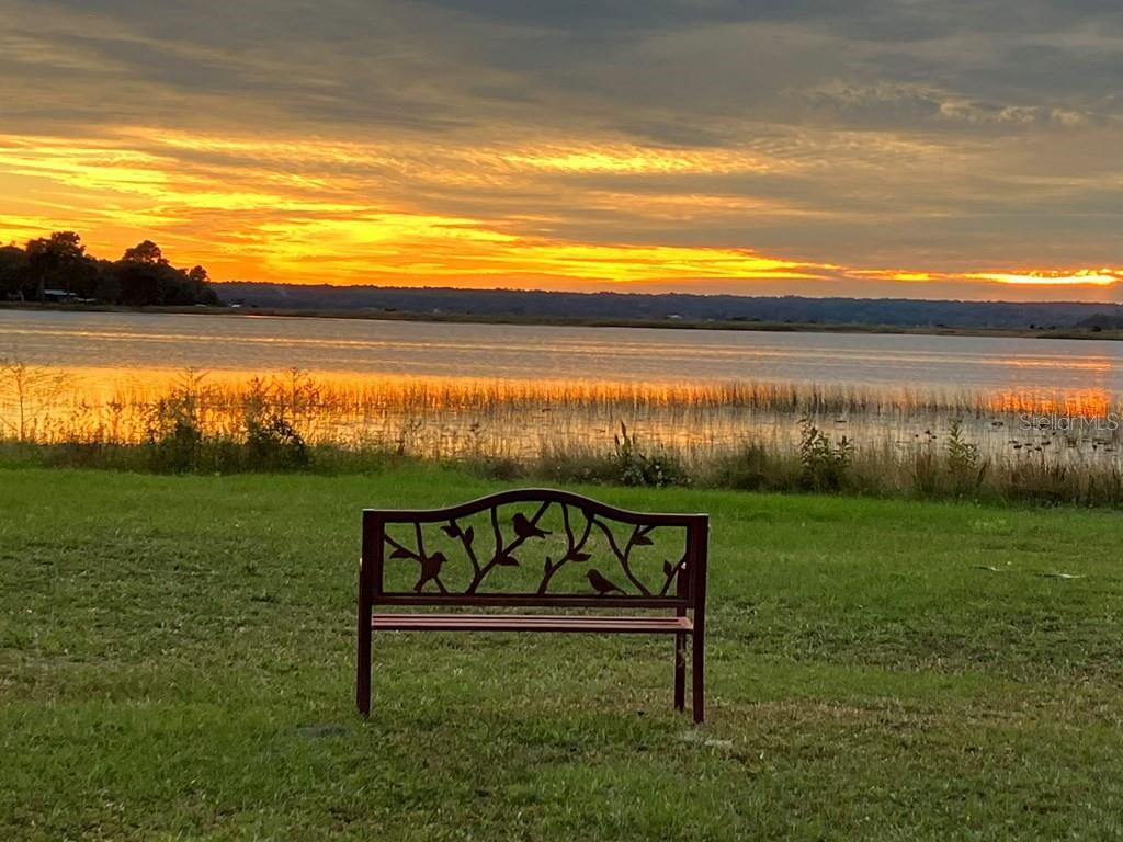 25079 Northeast 140th Loop Salt Springs, FL 32134 - Photo 23 of 23 a view of a lake with a yard