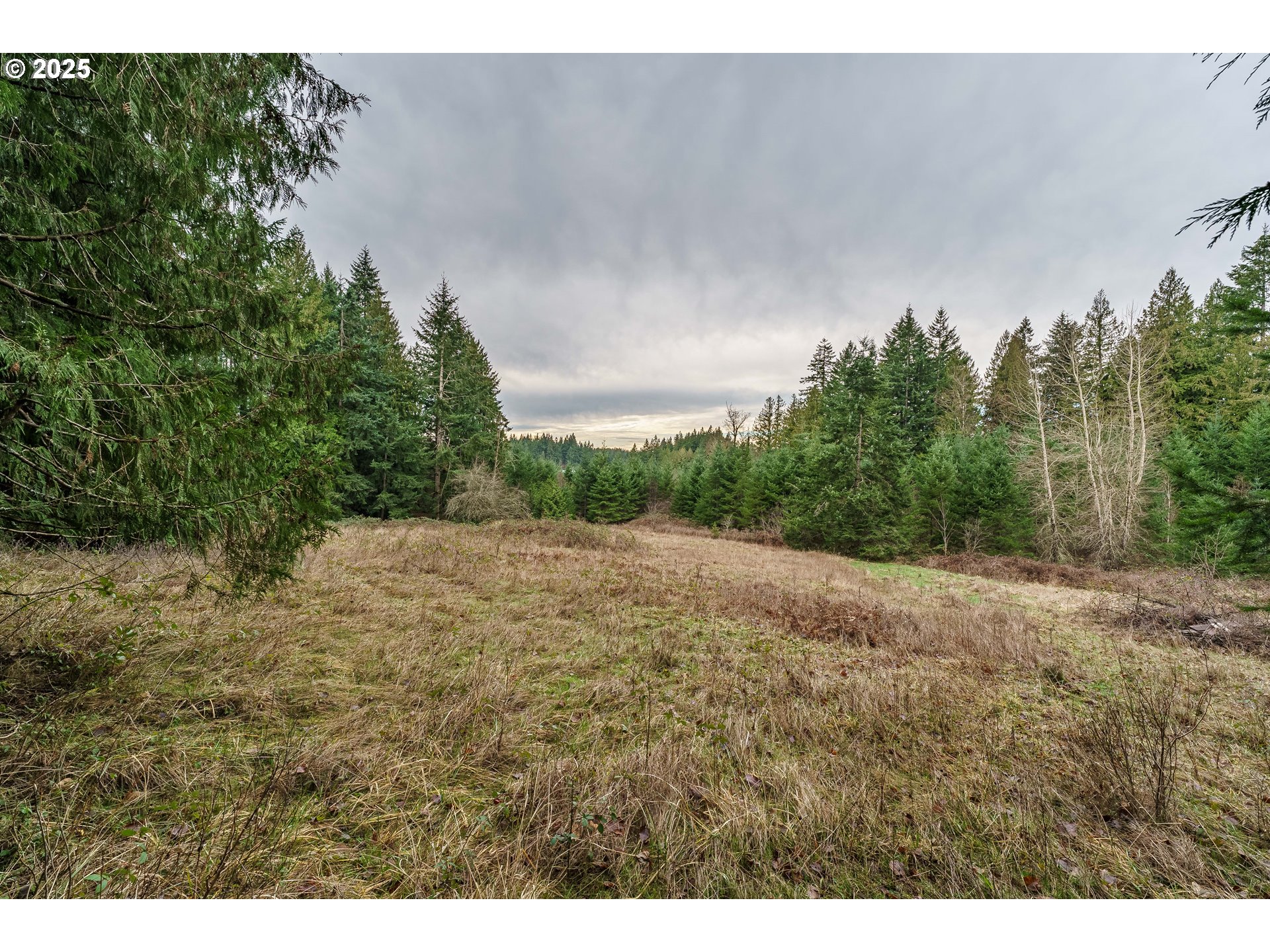 24671 South Larkin Road Beavercreek, OR 97004 - Photo 32 of 47