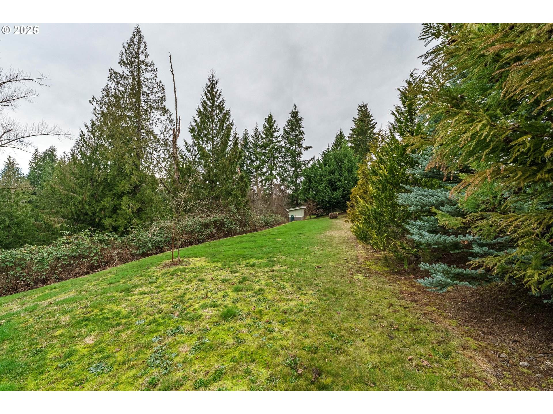 24671 South Larkin Road Beavercreek, OR 97004 - Photo 33 of 47