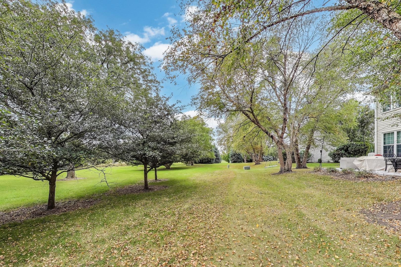 24115 Pear Tree Circle Plainfield, IL 60585 - Photo 15 of 15 a view of yard with trees