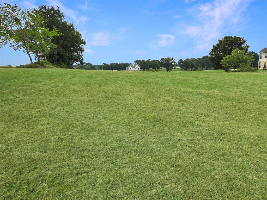 Lot 19 Lake Ridge Drive Streetman, TX 75859 - Photo 15 of 40 a view of a field with an trees