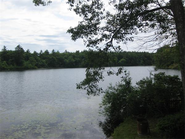 0 Indian Lane Canton, MA 02021 - Photo 2 of 7