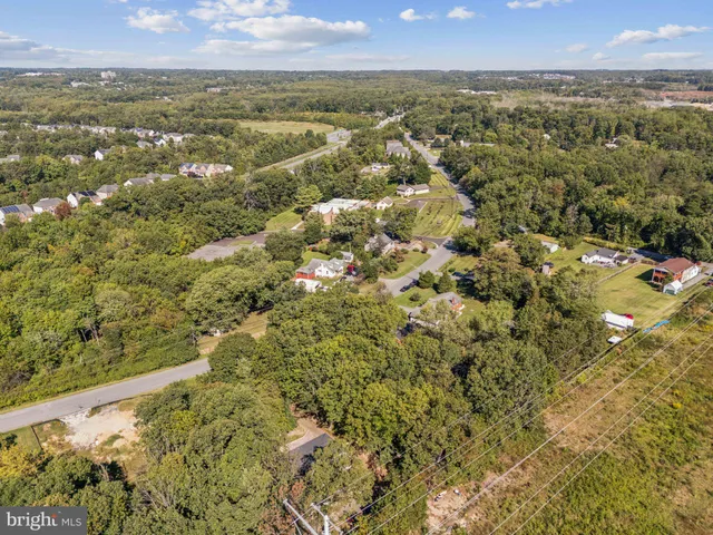 a picture of street with lots of trees