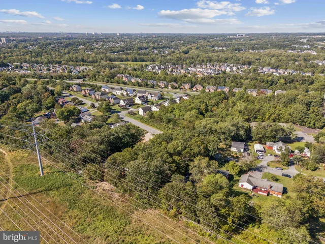 a plant that is in middle of garden