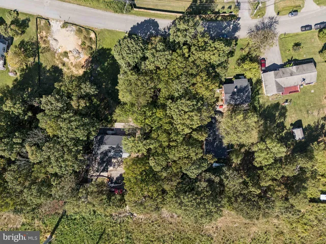 a view of a tree with a yard