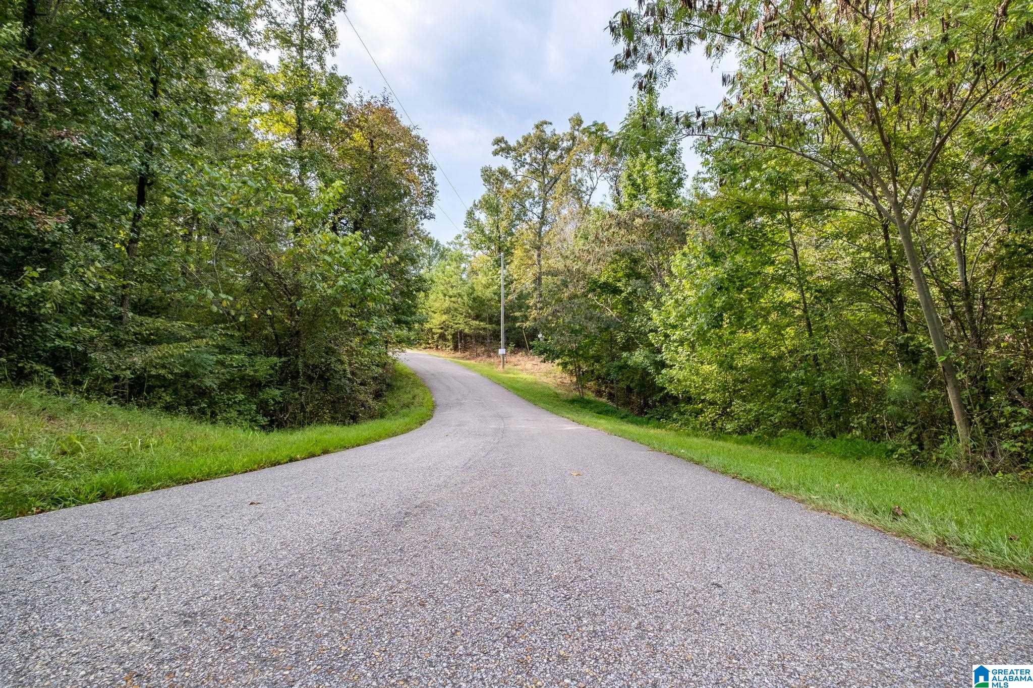 Lot 11 County Road 730, Unit 11 Clanton, AL 35046 - Photo 13 of 14