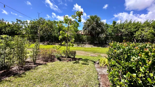 a view of a yard with a tree