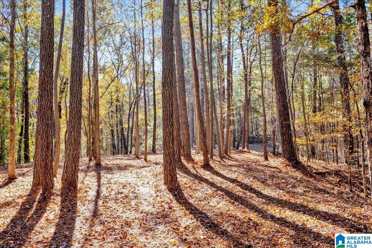 0 Hammock Road Trussville, AL 35173 - Photo 21 of 31