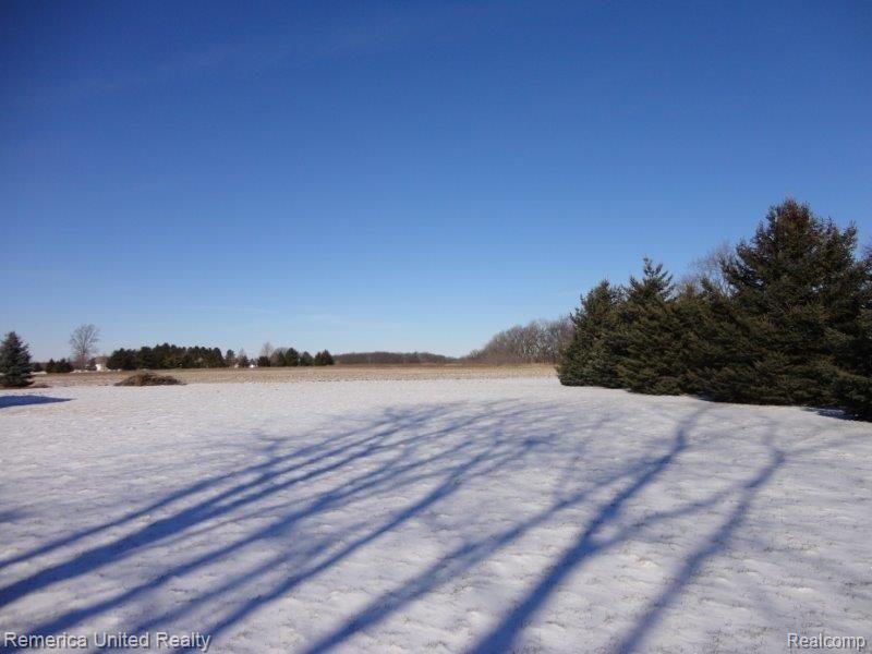 6770 Gregory Road Dexter, MI 48130 - Photo 24 of 24 DSC00440.jpg