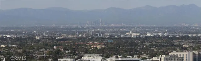 a view of lot of trees