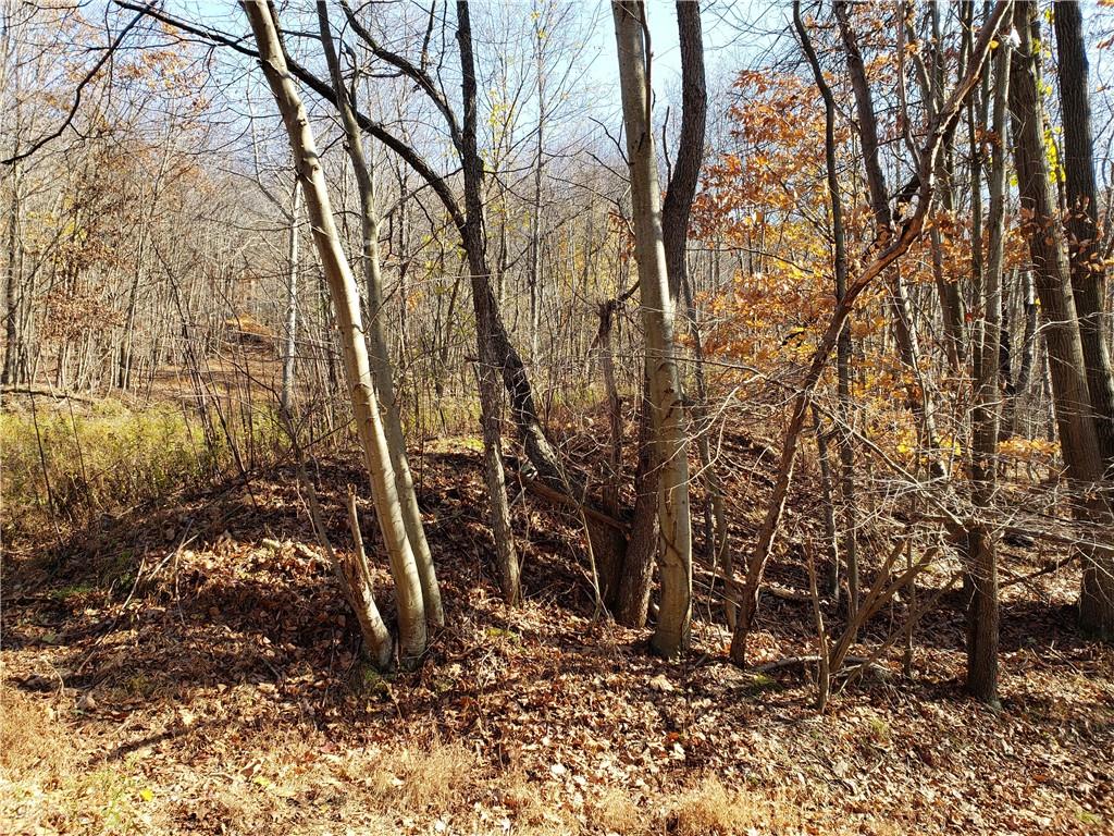 0 Lytle Road Saltsburg, PA 15681 - Photo 3 of 9