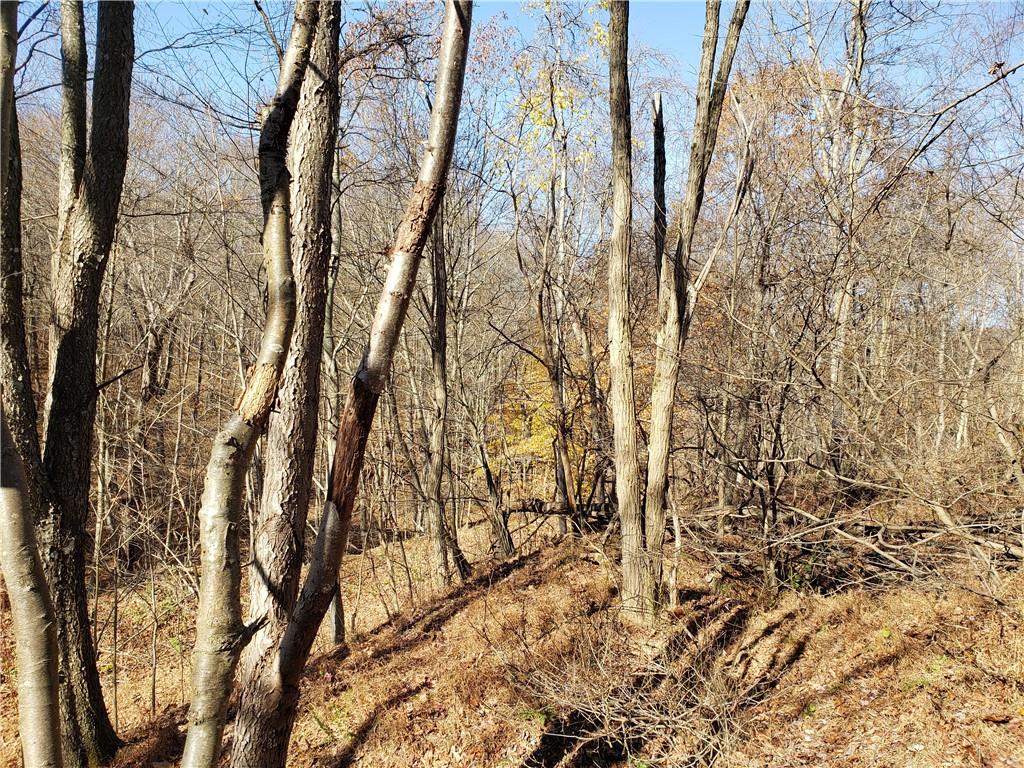 0 Lytle Road Saltsburg, PA 15681 - Photo 4 of 9