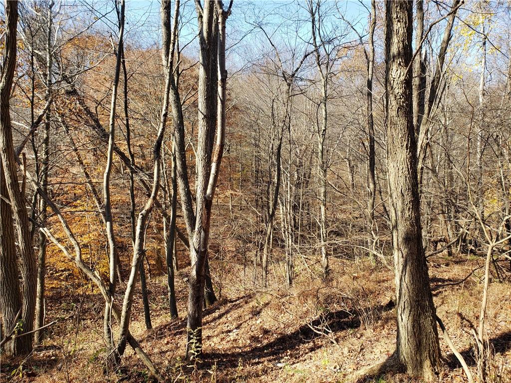 0 Lytle Road Saltsburg, PA 15681 - Photo 5 of 9