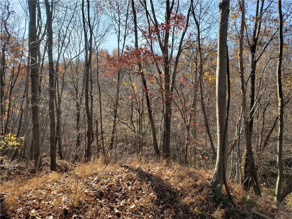 0 Lytle Road Saltsburg, PA 15681 - Photo 6 of 9