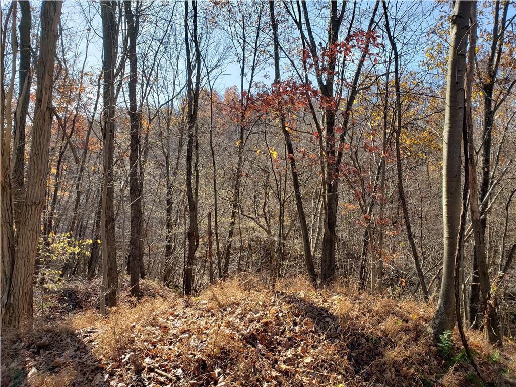 0 Lytle Road Saltsburg, PA 15681 - Photo 7 of 9