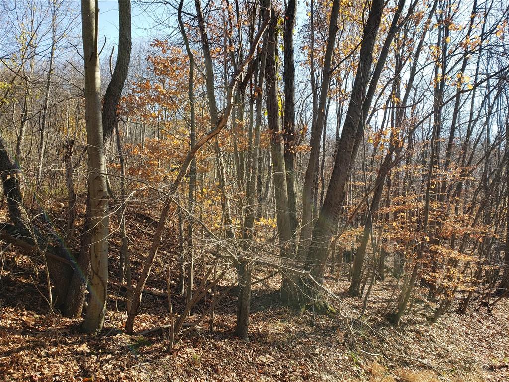 0 Lytle Road Saltsburg, PA 15681 - Photo 8 of 9