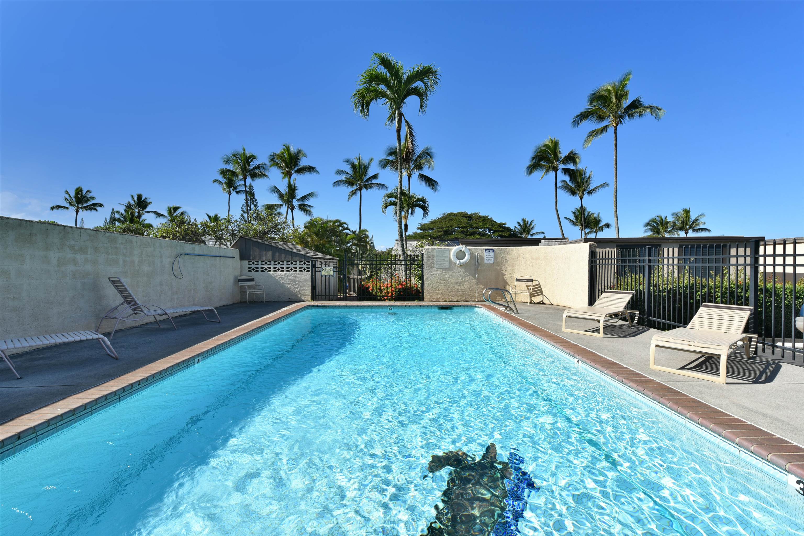 120 Hui Rd F, Unit K 11 Lahaina, HI 96761 - Photo 34 of 47
