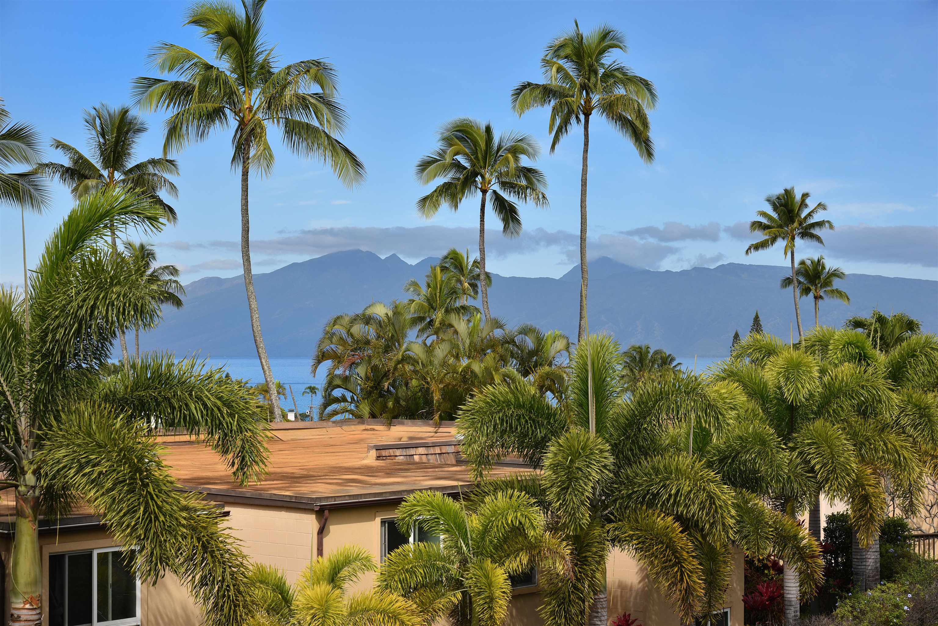 120 Hui Rd F, Unit K 11 Lahaina, HI 96761 - Photo 36 of 47 a view of a palm tree front of house