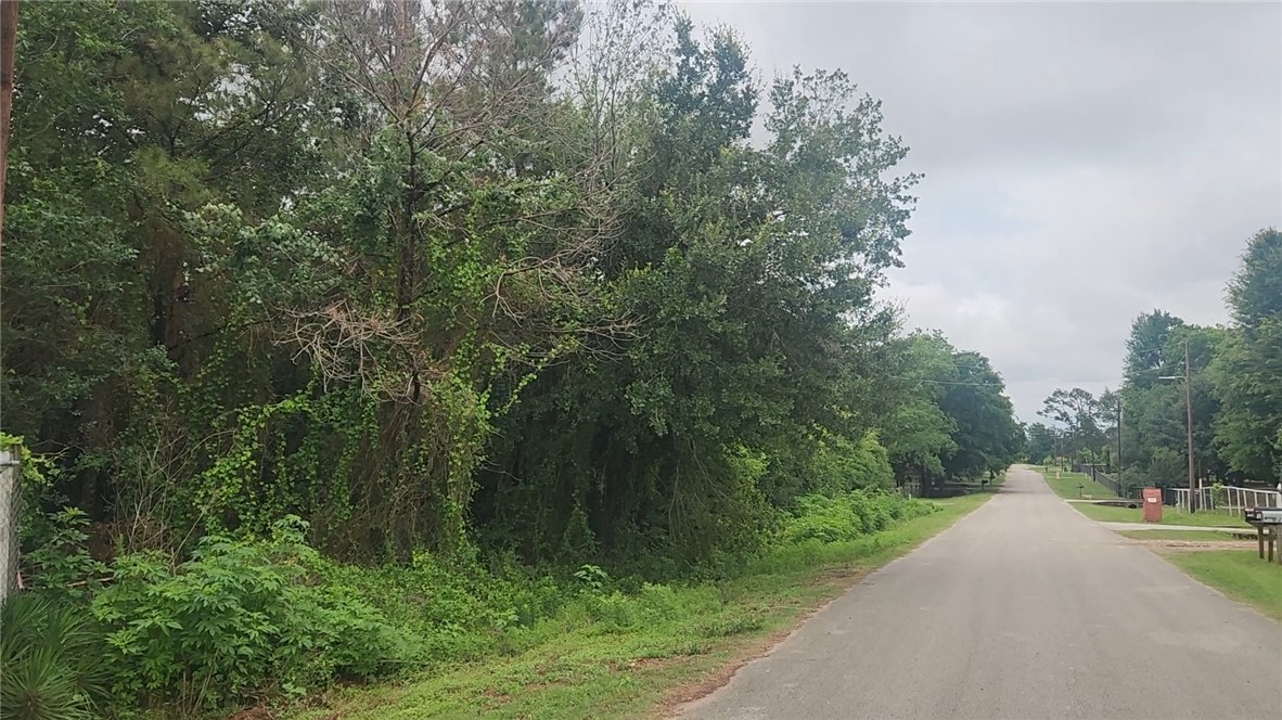 Lot 61 Greenfield Road Hempstead, TX 77445 - Photo 17 of 17 a view of a street with a trees