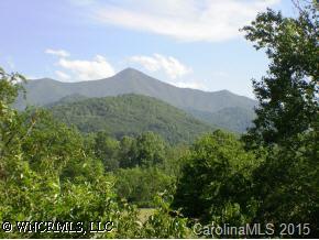 a view of a lot of trees and mountain