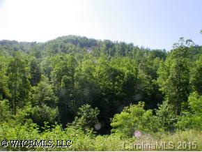 0 White Rock Branch Road Candler, NC 28715 - Photo 2 of 5 an aerial view of a house with a yard