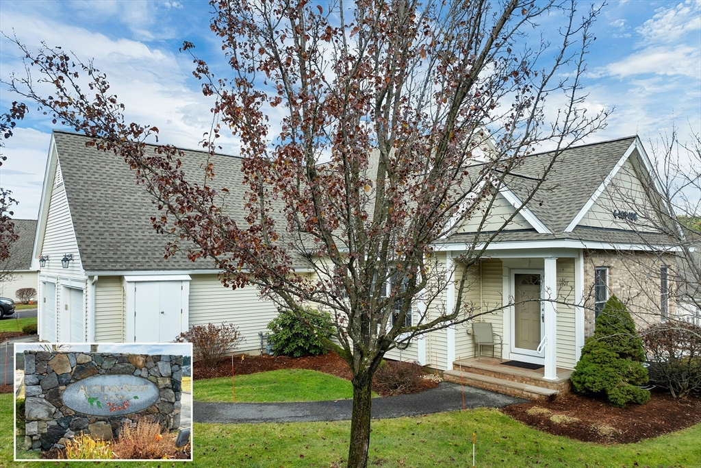 a view of house with a yard