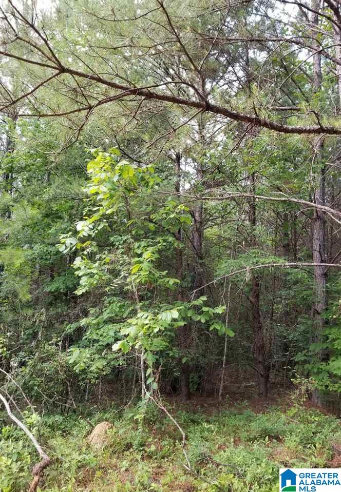 5 Charles Taylor Road, Unit 5 Vance, AL 35490 - Photo 4 of 7