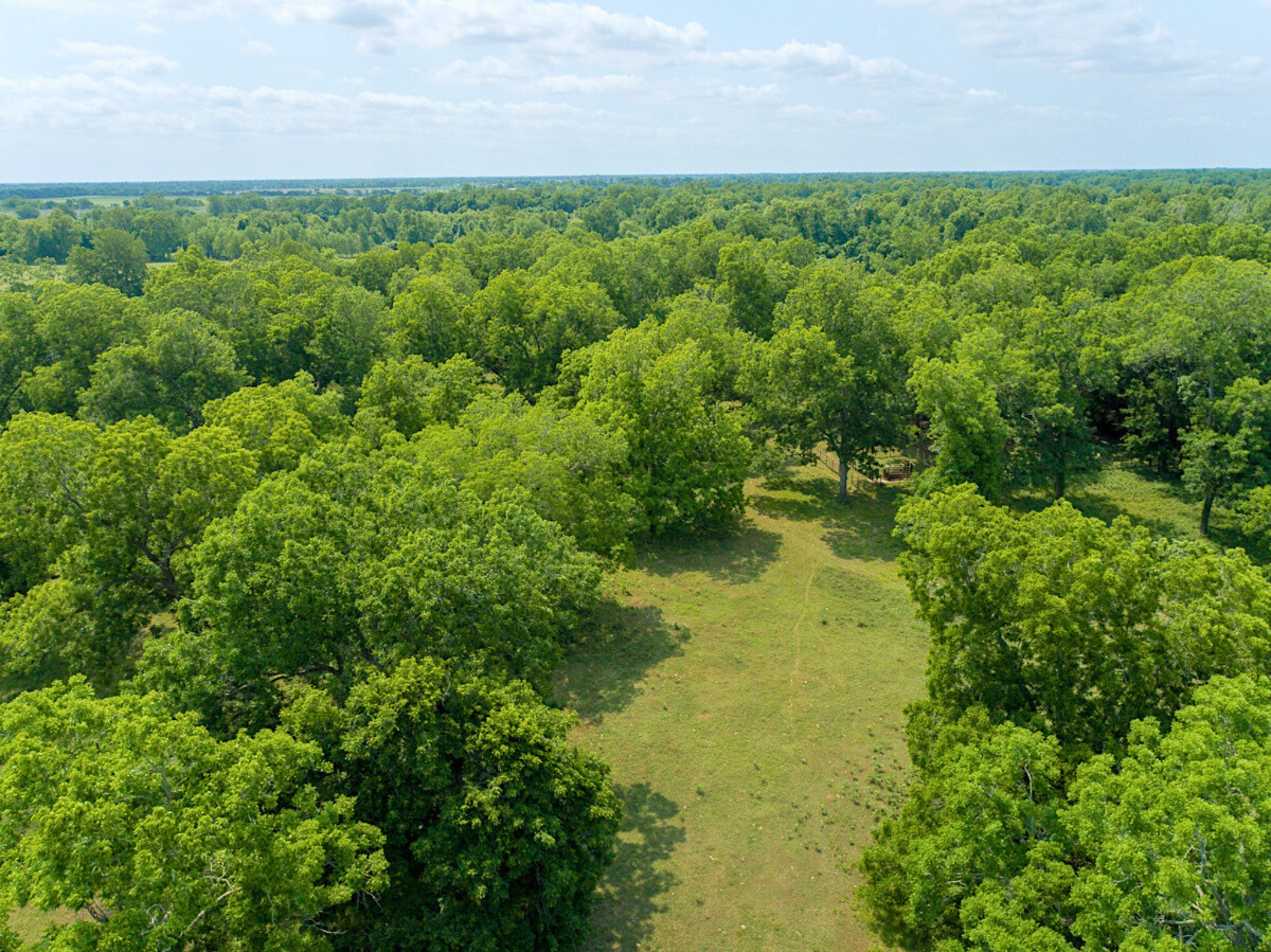 Tbd River Ridge Road Sealy, TX 77474 - Photo 9 of 10
