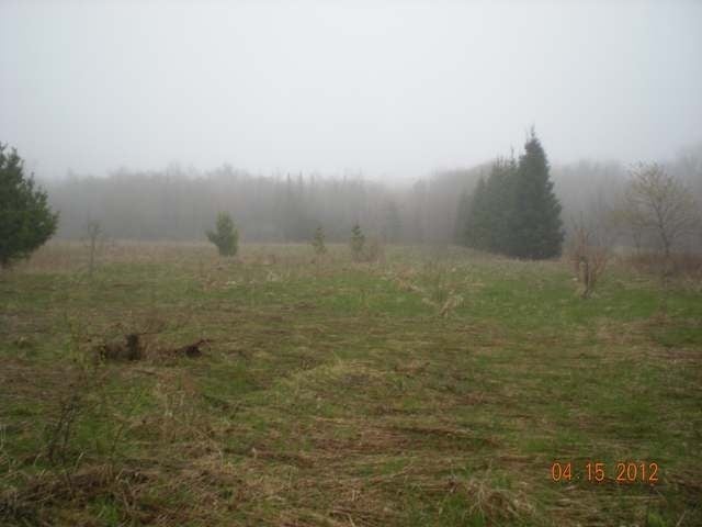 On Popple Road Antigo, WI 54409 - Photo 17 of 18 Gallery Image 17