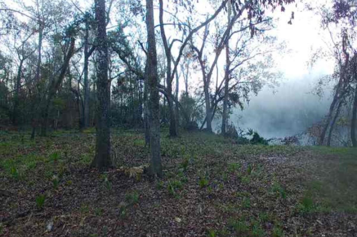 0 Southwest Dragon Way Jasper, FL 32052 - Photo 1 of 8