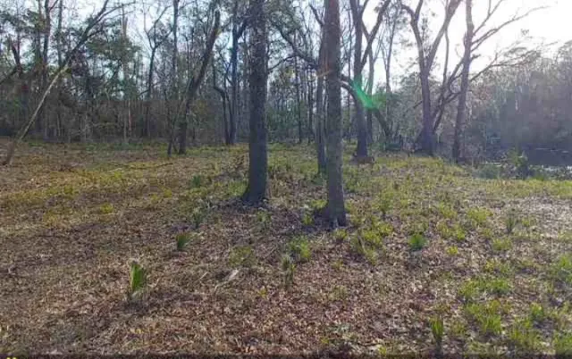 $149,767 | 0 Southwest Dragon Way, Jasper, FL 32052