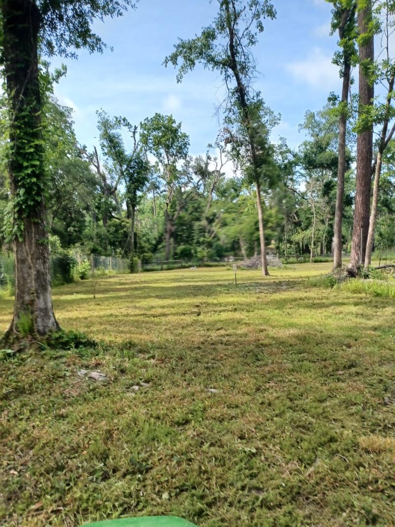 0 Southwest Dragon Way Jasper, FL 32052 - Photo 4 of 8