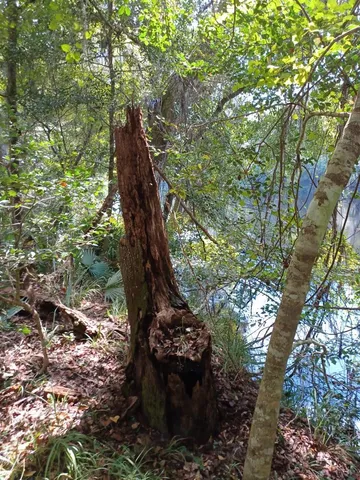 $149,767 | 0 Southwest Dragon Way, Jasper, FL 32052