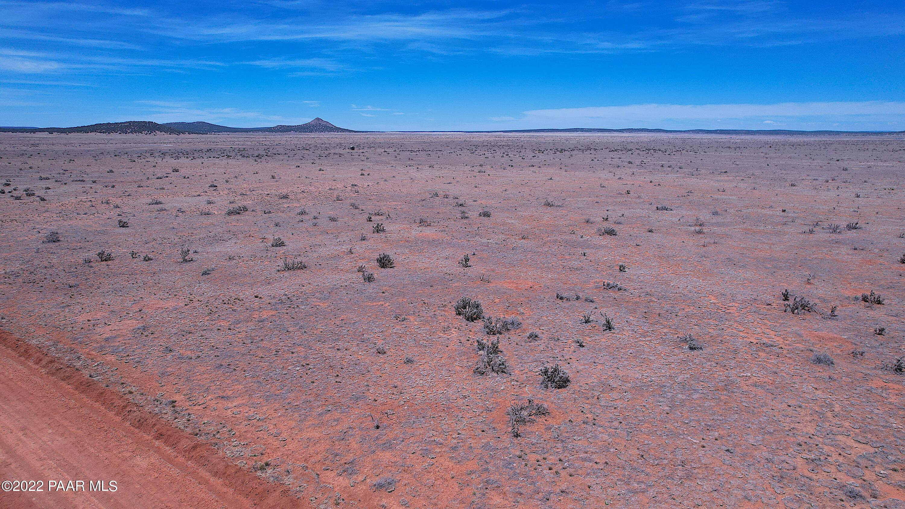 DJI_0735