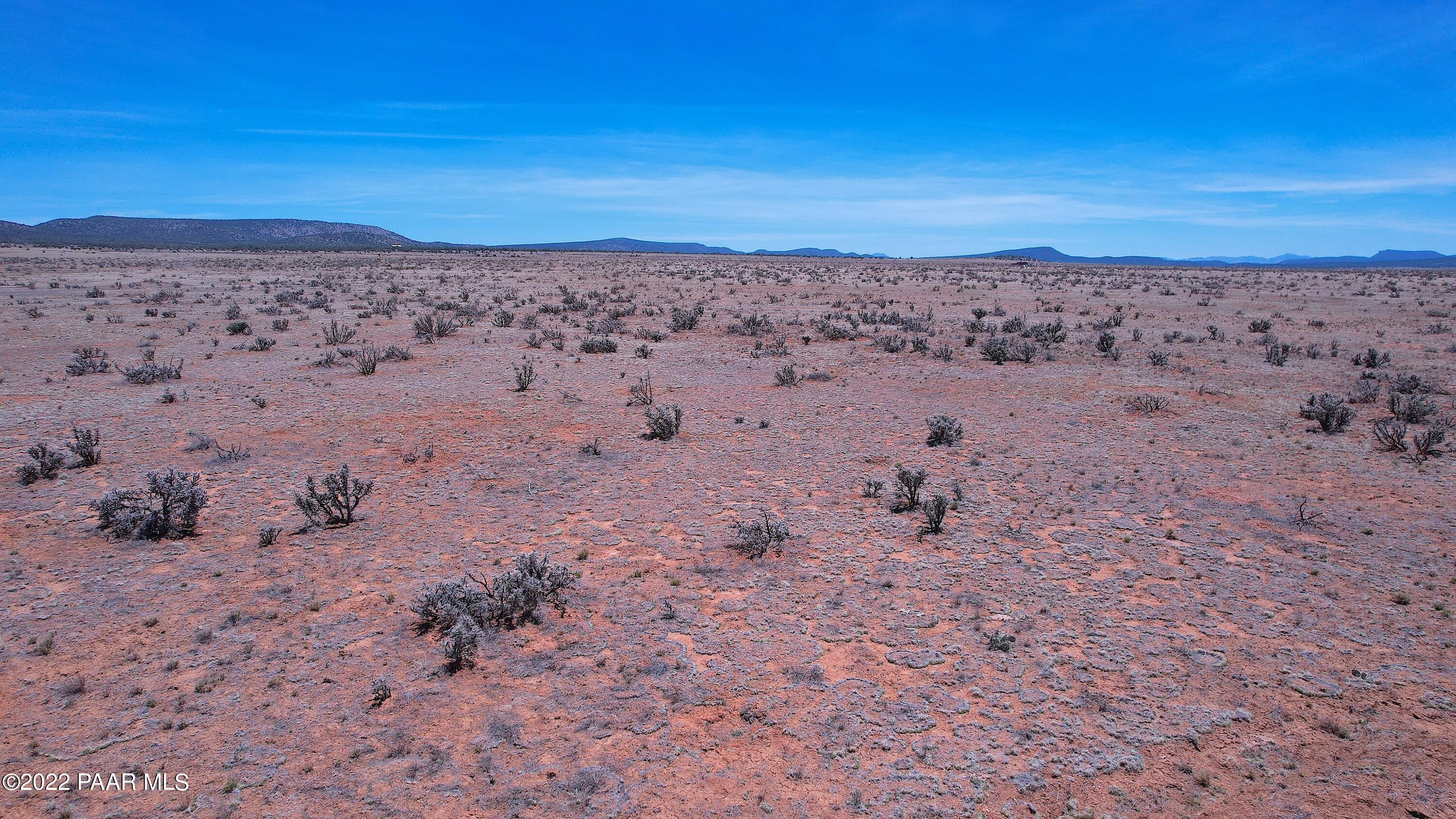 DJI_0739