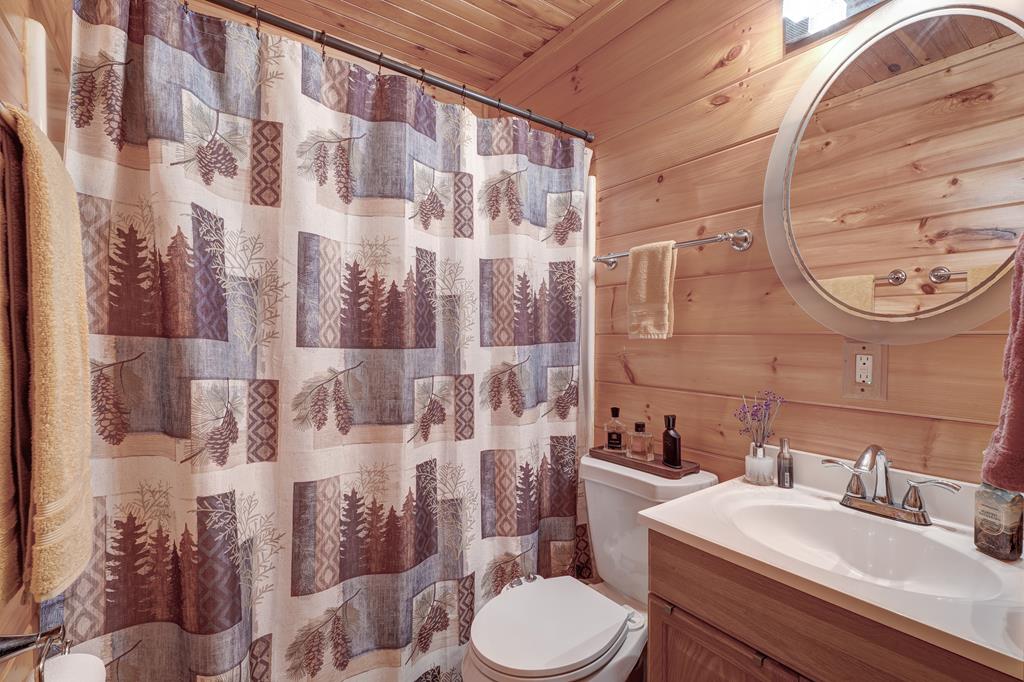388 Cozy Cove Road Blairsville, GA 30512 - Photo 11 of 44 a bathroom with a sink toilet and shower
