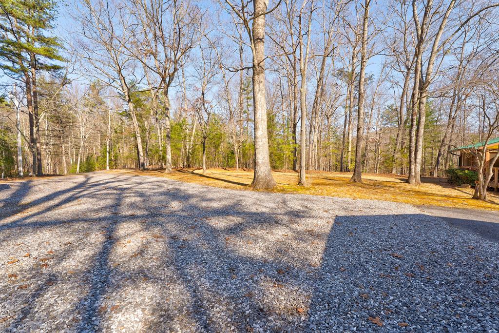 388 Cozy Cove Road Blairsville, GA 30512 - Photo 43 of 44 a view of outdoor space with trees