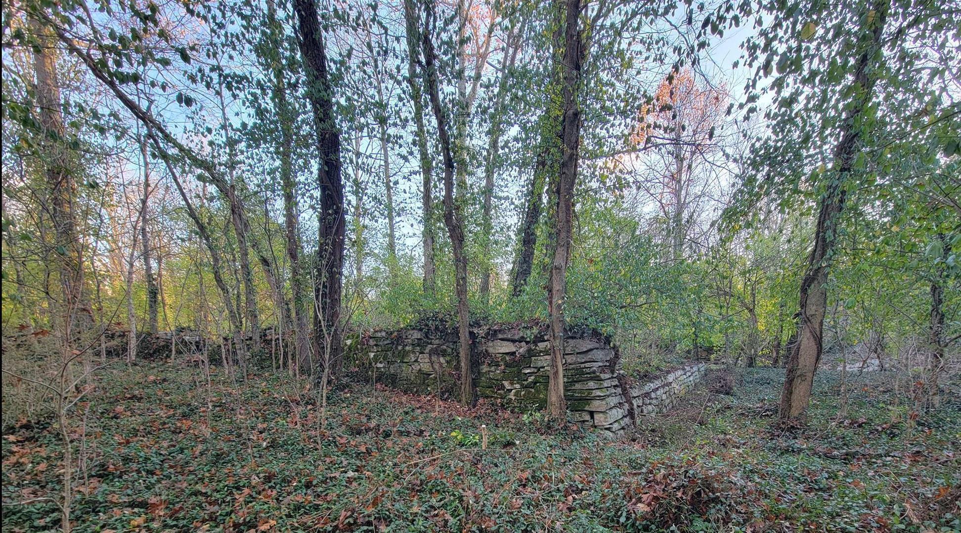 987 Pauls Mill Road Versailles, KY 40383 - Photo 7 of 20 Stone walls near Clear Creek