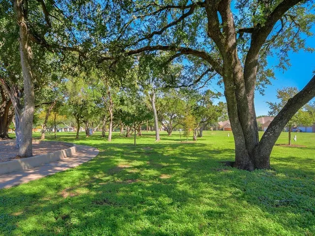 a big yard with lots of green space and palm trees