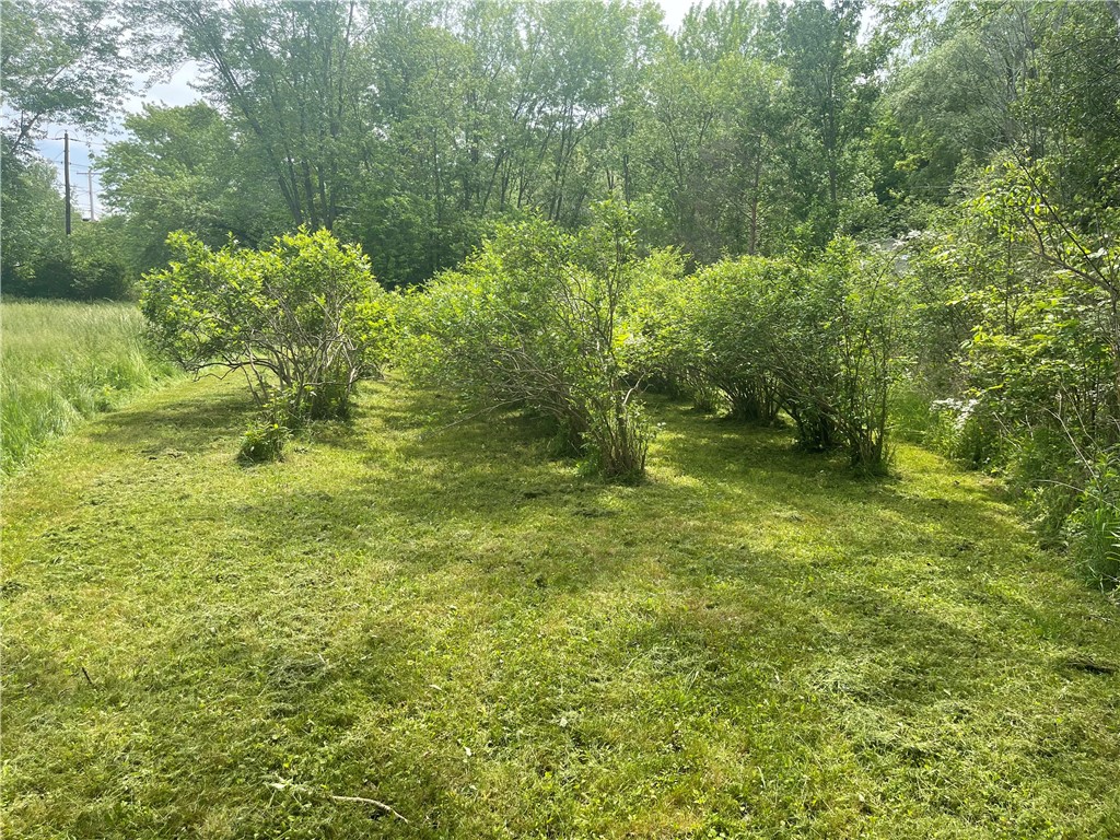 3753 Watkins Road Veteran, NY 14864 - Photo 24 of 24