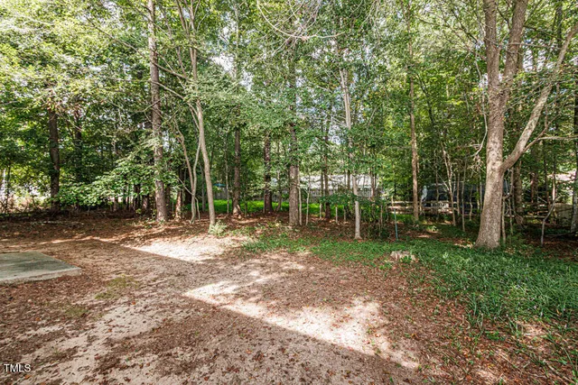a view of a tree in the middle of a yard