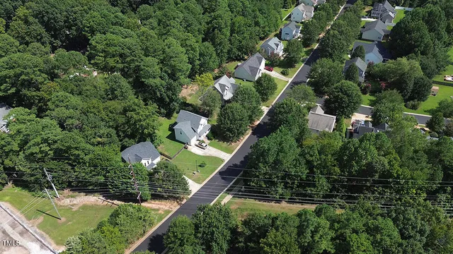 a view of a garden with plants