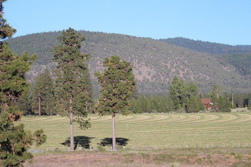 32505 Modoc Point Road Chiloquin, OR 97624 - Photo 7 of 33 Additional Photo