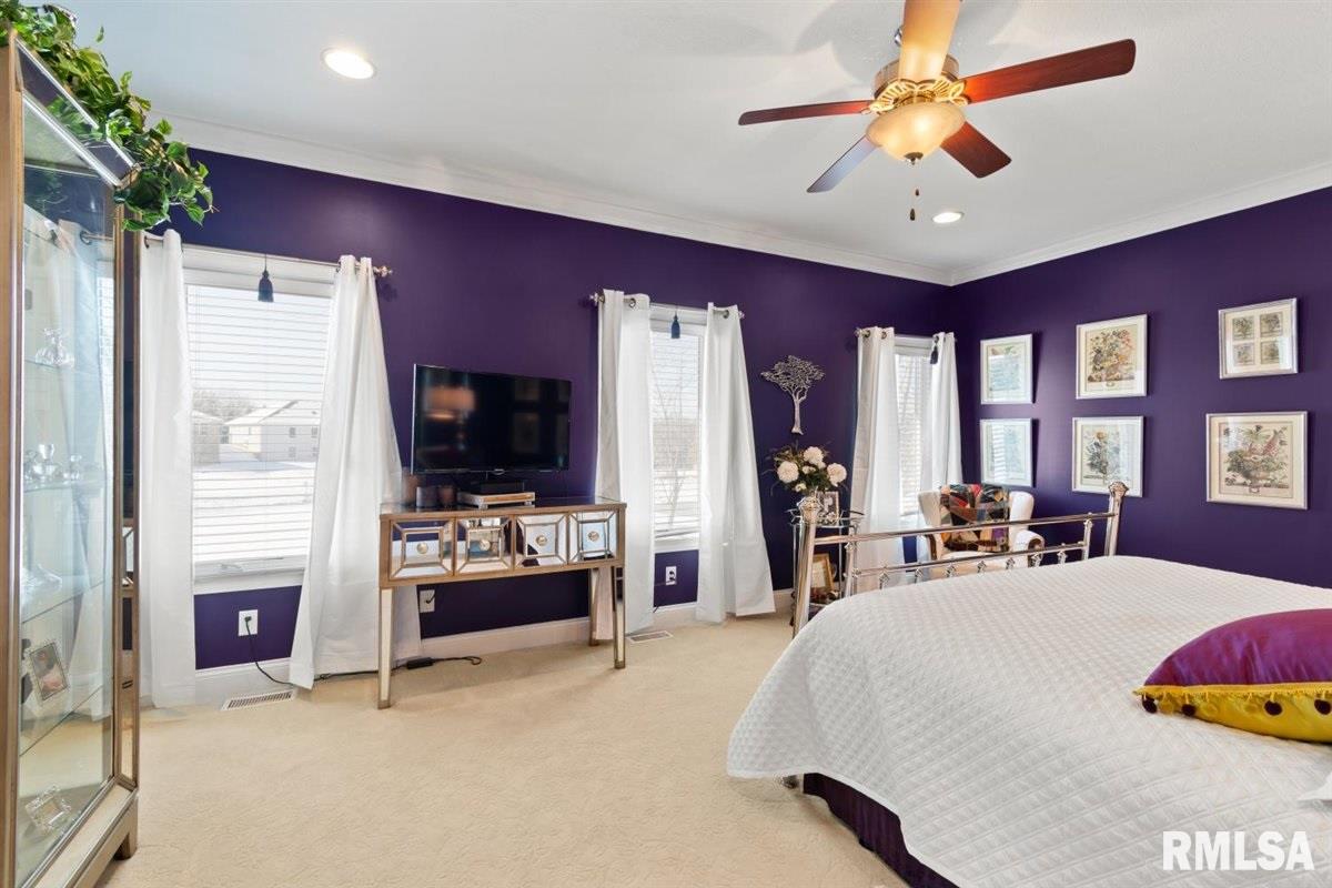224 Cumberland Drive Rochester, IL 62563 - Photo 21 of 50 Gallery Image 21