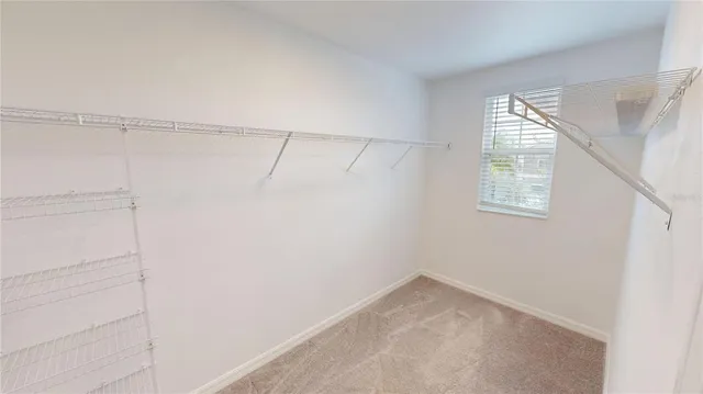 $2,750 | 17034 Yellow Pine Street, Wimauma, FL 33598