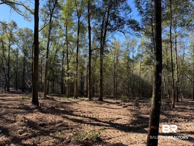 0 Danner Road East Wilmer, AL 36587 - Photo 11 of 34 Gallery Image 11