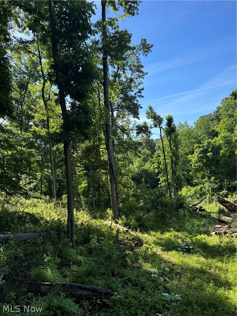 Stone Quarry Road Danville, OH 43014 - Photo 29 of 50