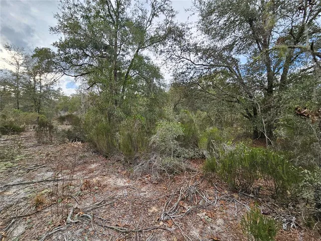 $18,000 | 10350 Northeast 97th Place, Archer, FL 32618